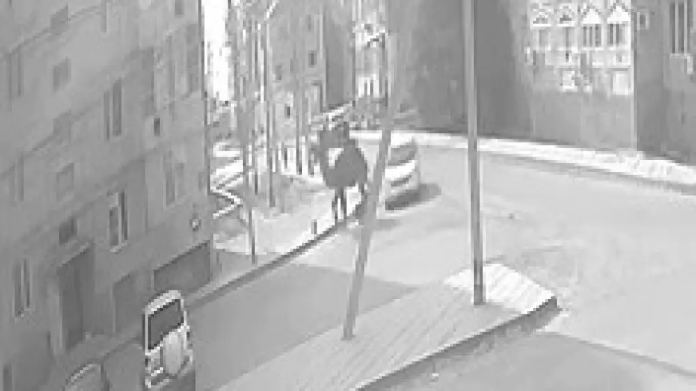 Атырау облысында баланы түйе таптап кеткен