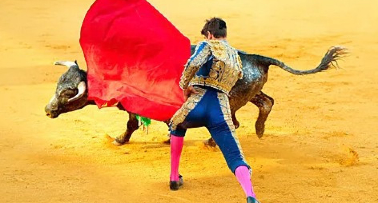 Кейша - порно актриса.