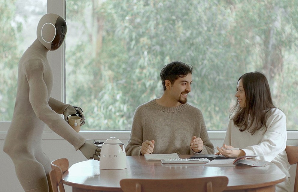 Үй шаруасына көмектесетін робот