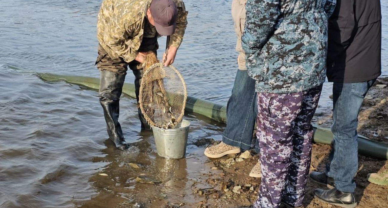 Өзбек жігіті өзбек əйелін сиқыды. Өзбек жігіті өзбек əйелін сиқыды.