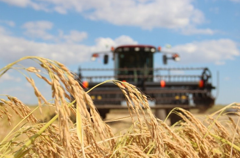 Ауыл шаруашылығы дақылдарынан рекордтық өнім жиналды