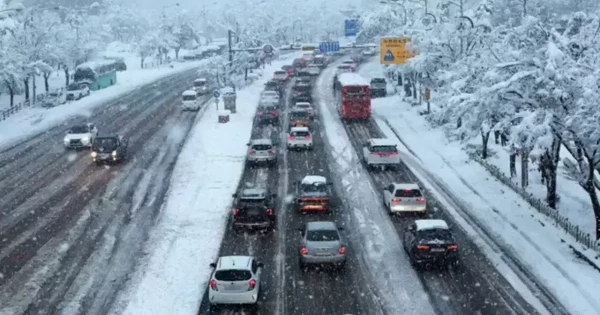 Семіз қара әйелдер порно галереясы
