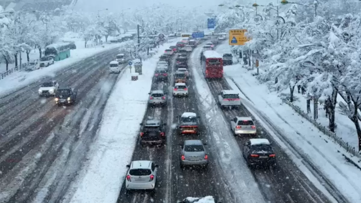 Ерекше киімдегі жетілген әйелдер бейнеленген порно