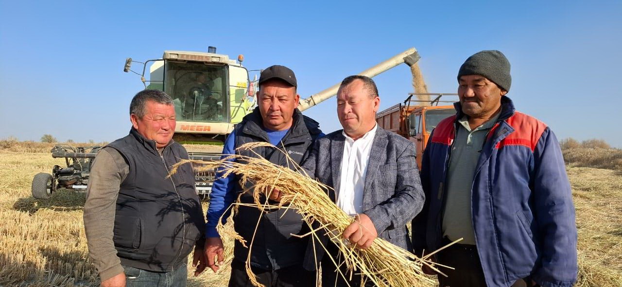 Қамба ақ маржанға толды