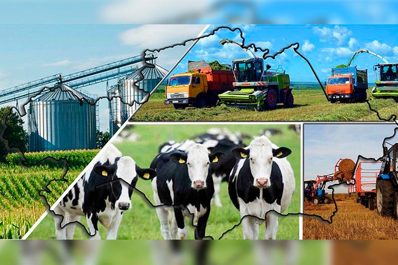 Қасым-Жомарт Тоқаев: Мал шаруашылығының әлеуетін барынша пайдалану қажет