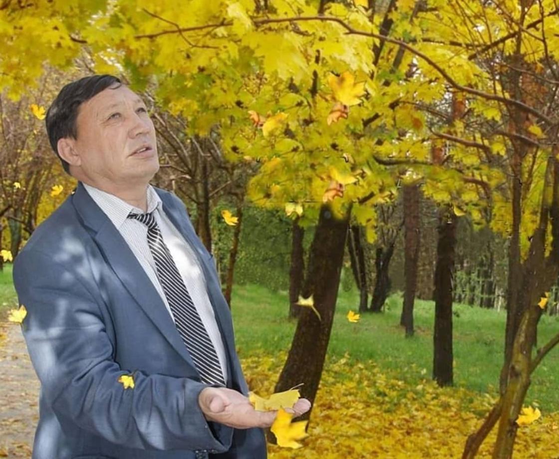 «Бара жатыр жұлдызы ағып...»