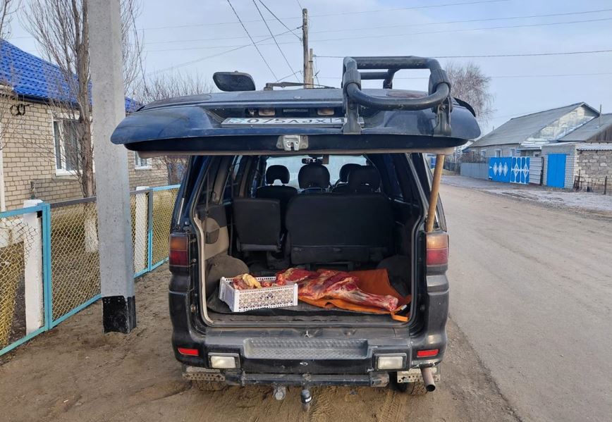 Қостанай облысында мал ұрлығы жиілеп барады