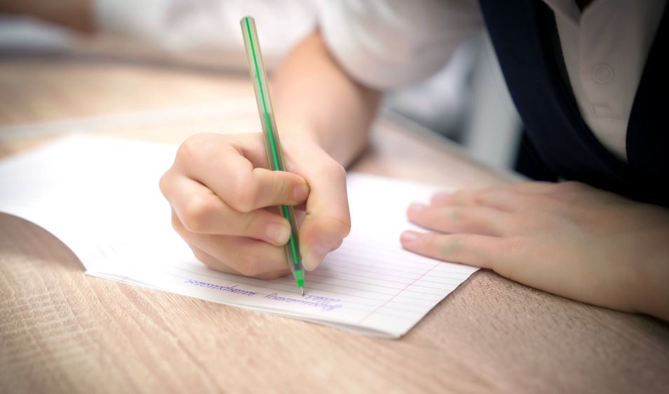 Елімізде бір мезетте бір жарым миллион оқушы мазмұндама жазған