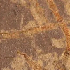 Ежелгі тіршілік белгісін тапты