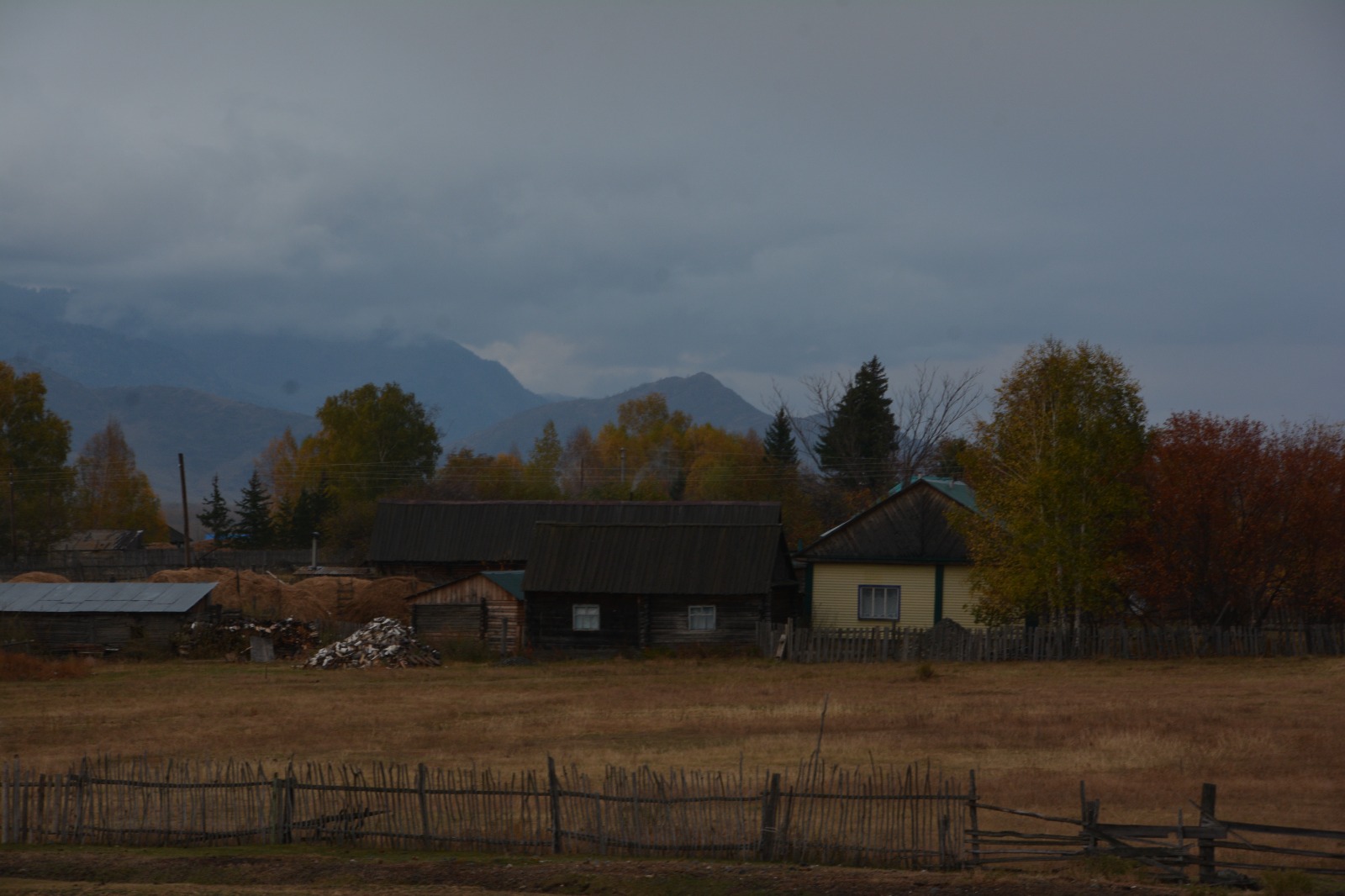 Күздің ұзақ кеші...