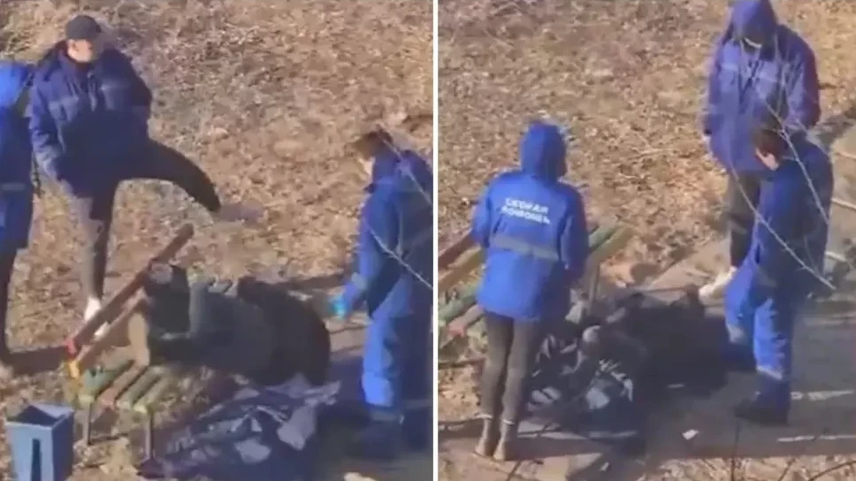 «Дәрігерлер науқасты соққыға жыққан»: Министрлік мәлімдеме жасады