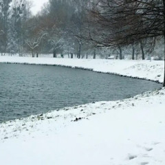 7 желтоқсан күнгі ауа райы болжамы жарияланды