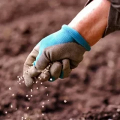 Қостанайда 16 жер учаскесі мемлекетке қайтарылды