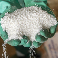 Дақылға қажет қорек – карбамид