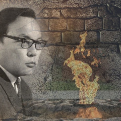 Махаббаттың қанаты