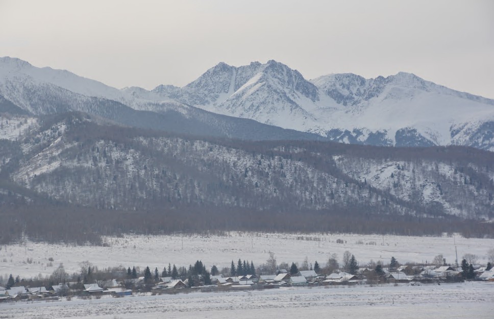 Бұқтырма бойы иен орман