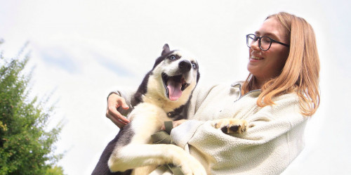 Елімізде зооволонтерлік қозғалыс жүйелі түрде дамып келеді