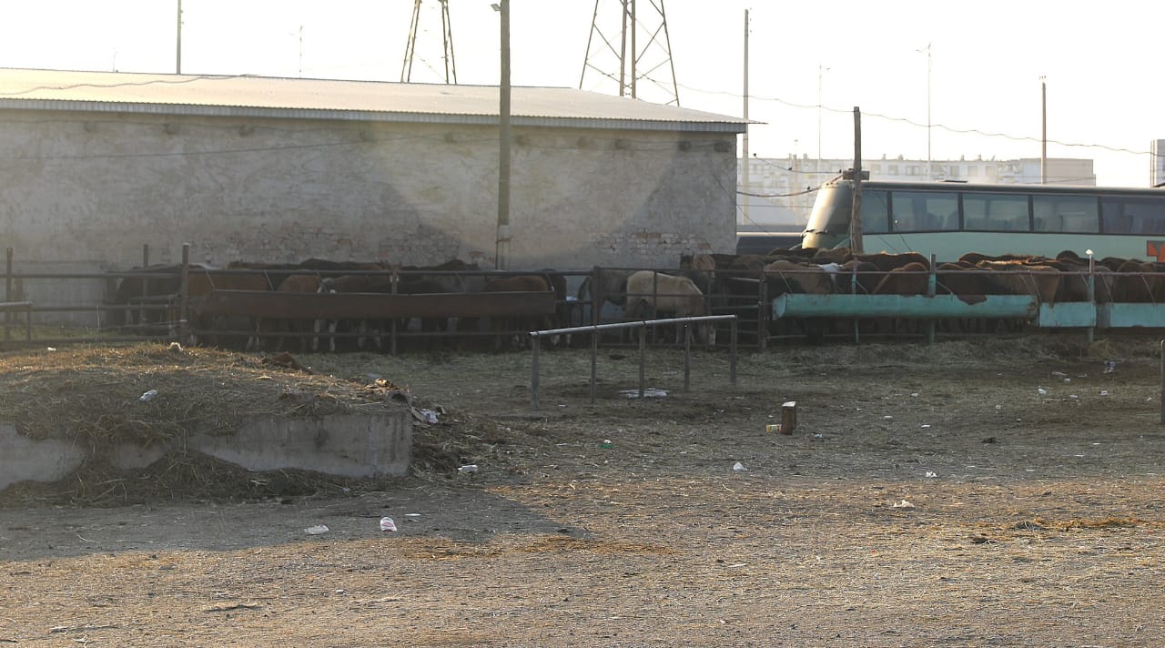 Шағын аудан тұрғындарының шағымы