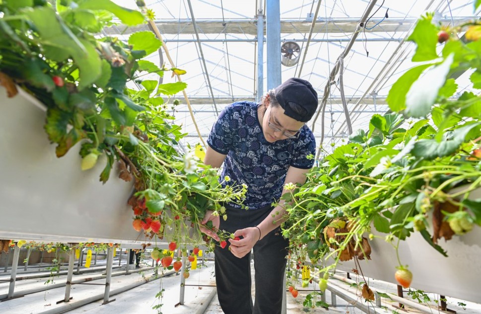 Мемлекеттік грант – жастарды қолдаудың ұтымды тетігі