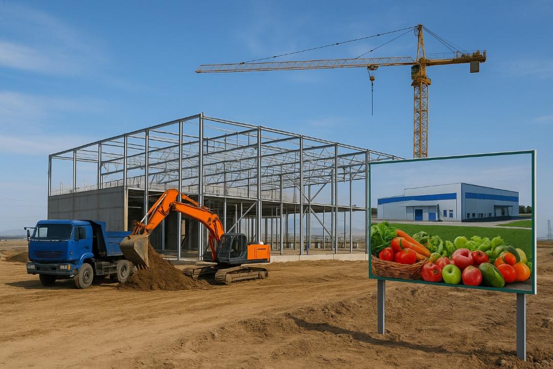 Заманауи зауыт жылына жетпіс мың тонна жеміс өңдейді