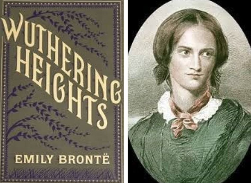 Жалғыз роман жазған жазушы