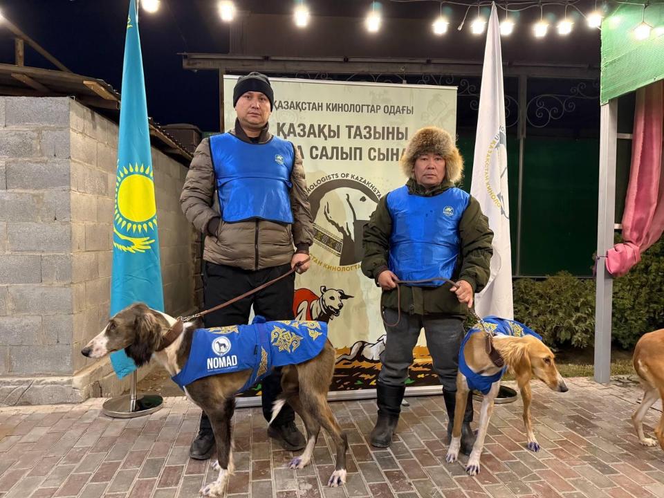 Тазы иттер аңшылығы: NOMAD бұл жолы да – үздік