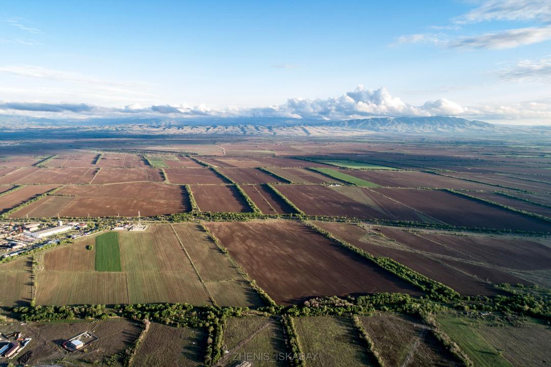 Жетісуда 603 мың гектар жер мемлекетке қайтарылды