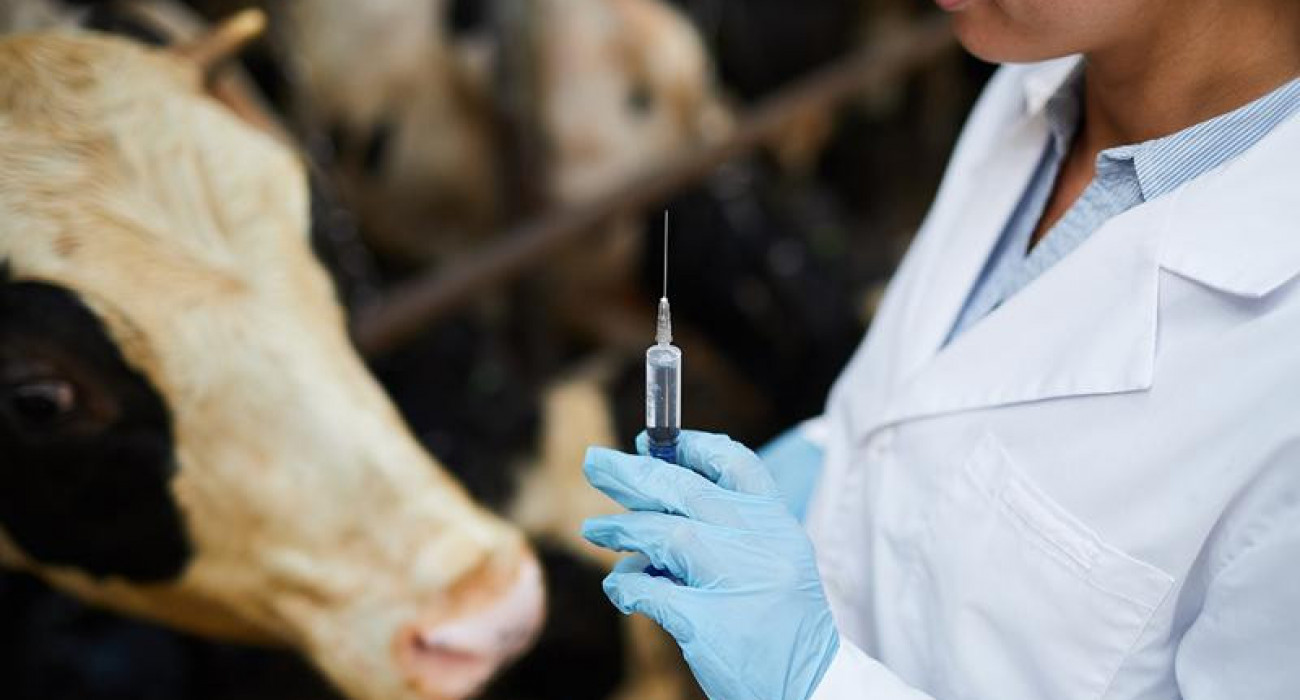 Ветеринария саласы сын көтермейді