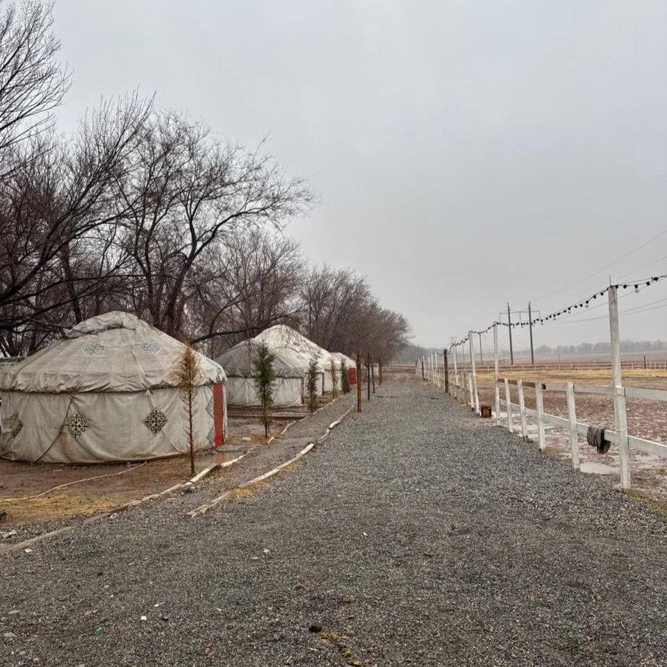 Әкімшілік киіз үй тұрғызғандарға айыппұл салды