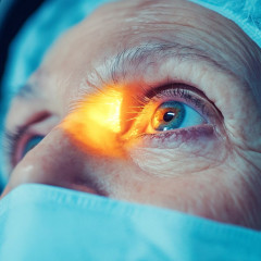 Робот ота жасады