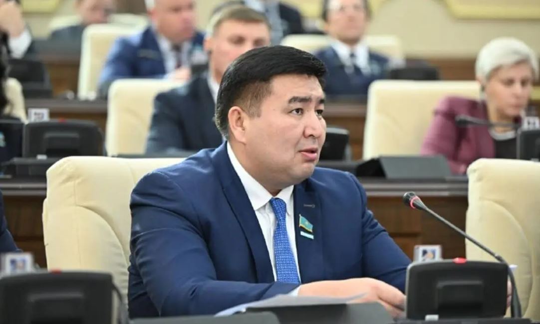 Депутат: «Такси жүргізушісі» ұғымын заңнамалық тұрғыда бекіткен жөн