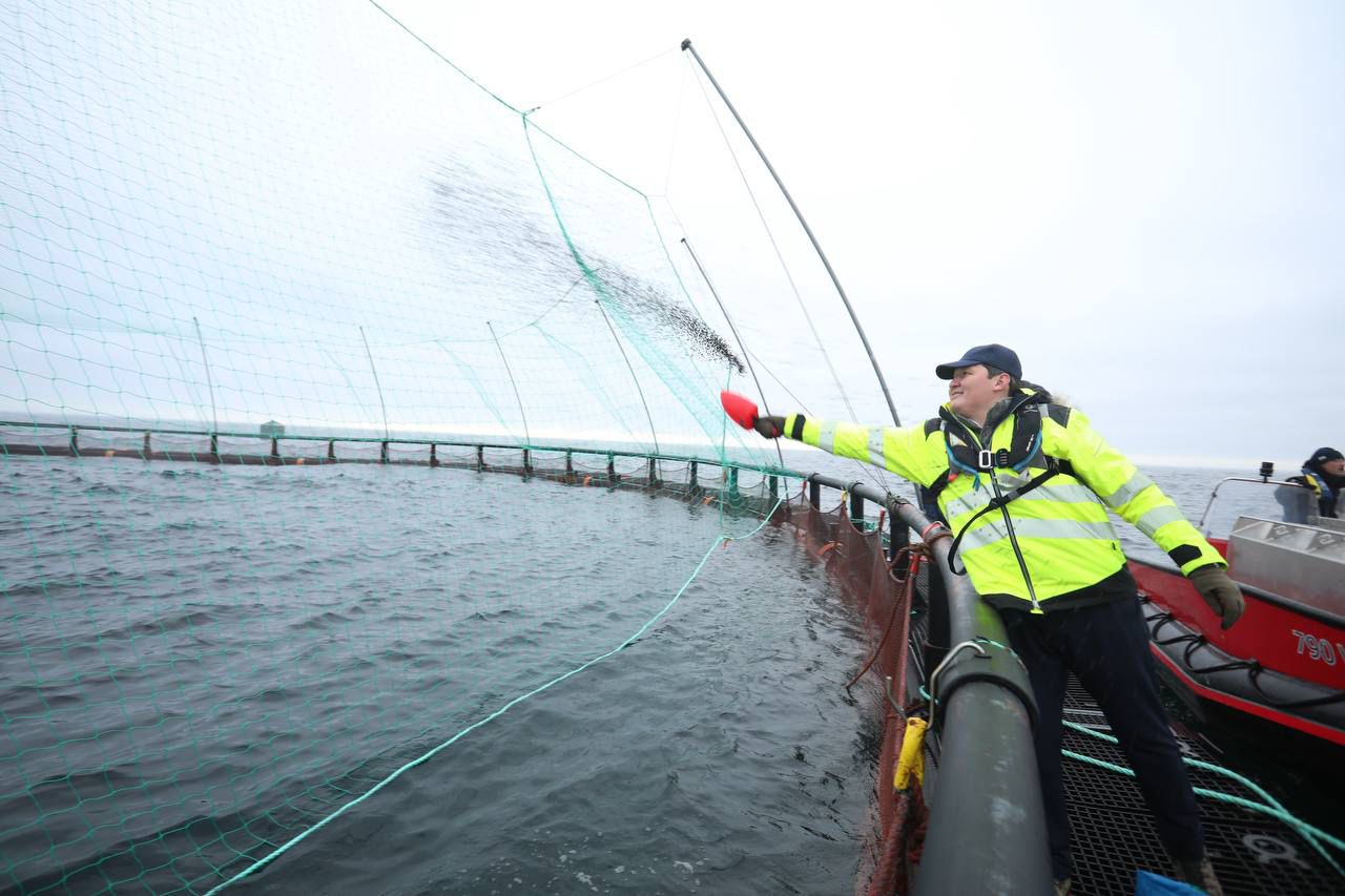 Маңғыстауда Орталық Азиядағы алғашқы теңіз аквашаруашылық жобасы іске асып жатыр