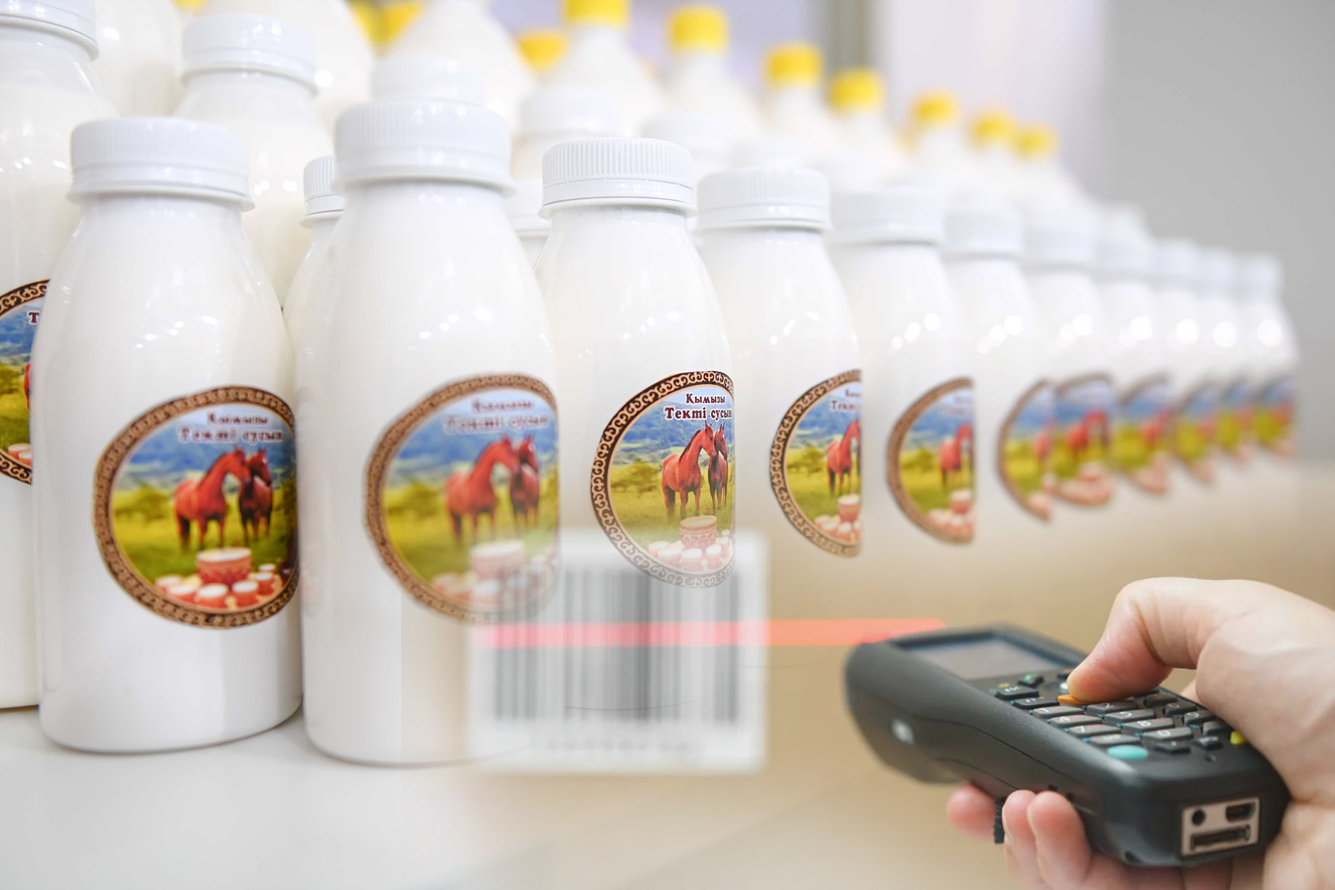 Ұлттық тауарлар каталогі: нарықты жүйелеу бастамасы