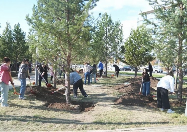 Қоршаған ортаны көркейтетін экологиялық бағдар