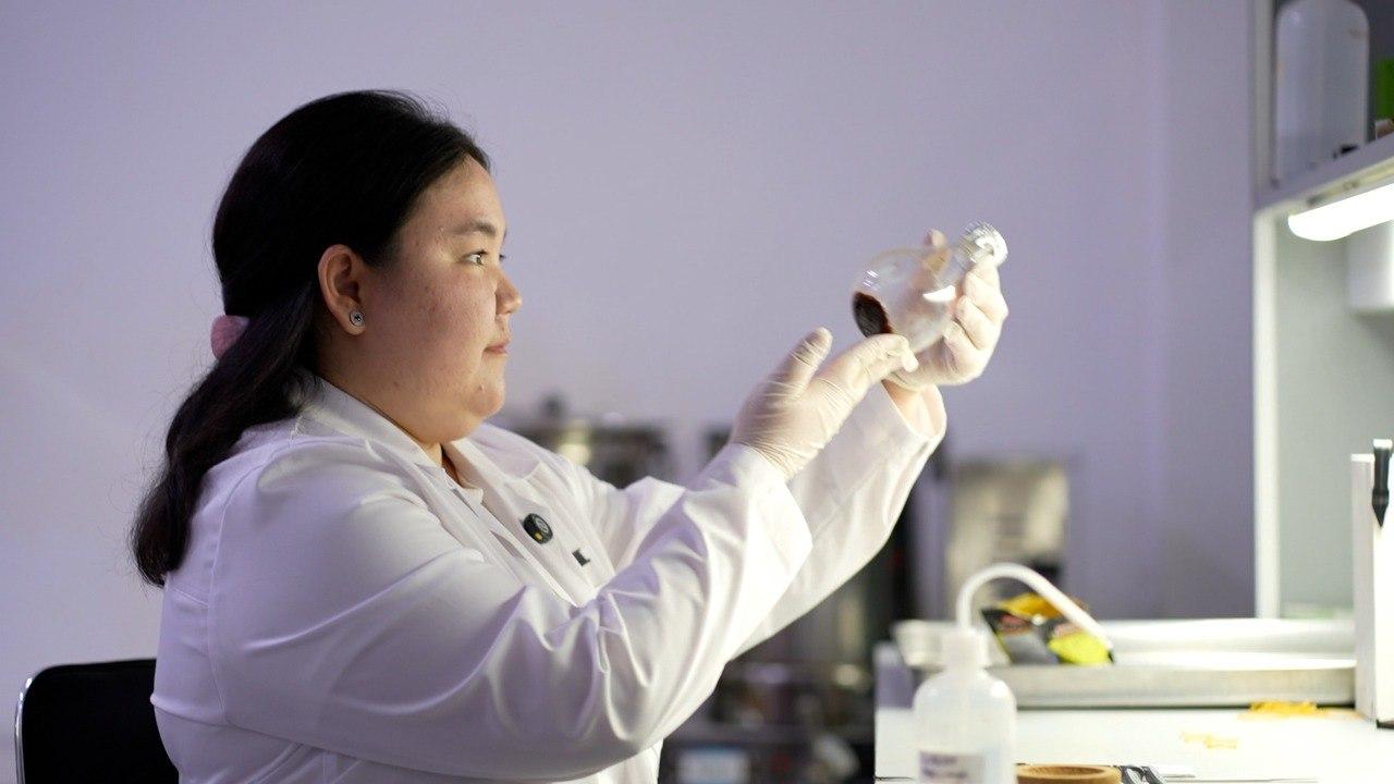 ҚазҰУ-дың жас ғалымы цикорийдің диабетке қарсы қасиетін дәлелдеді