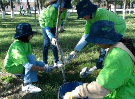 Жасыл ел жобасы арқылы 40 миллион түп ағаш отырғызылды