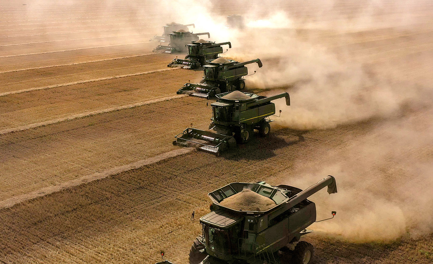 Бітік шыққан егін – еселі еңбектің нәтижесі