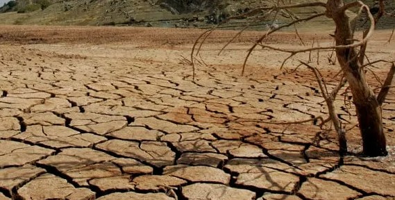 Еліміздің қай өңірлерінде құрғақшылық қаупі бар? Министр жауап берді