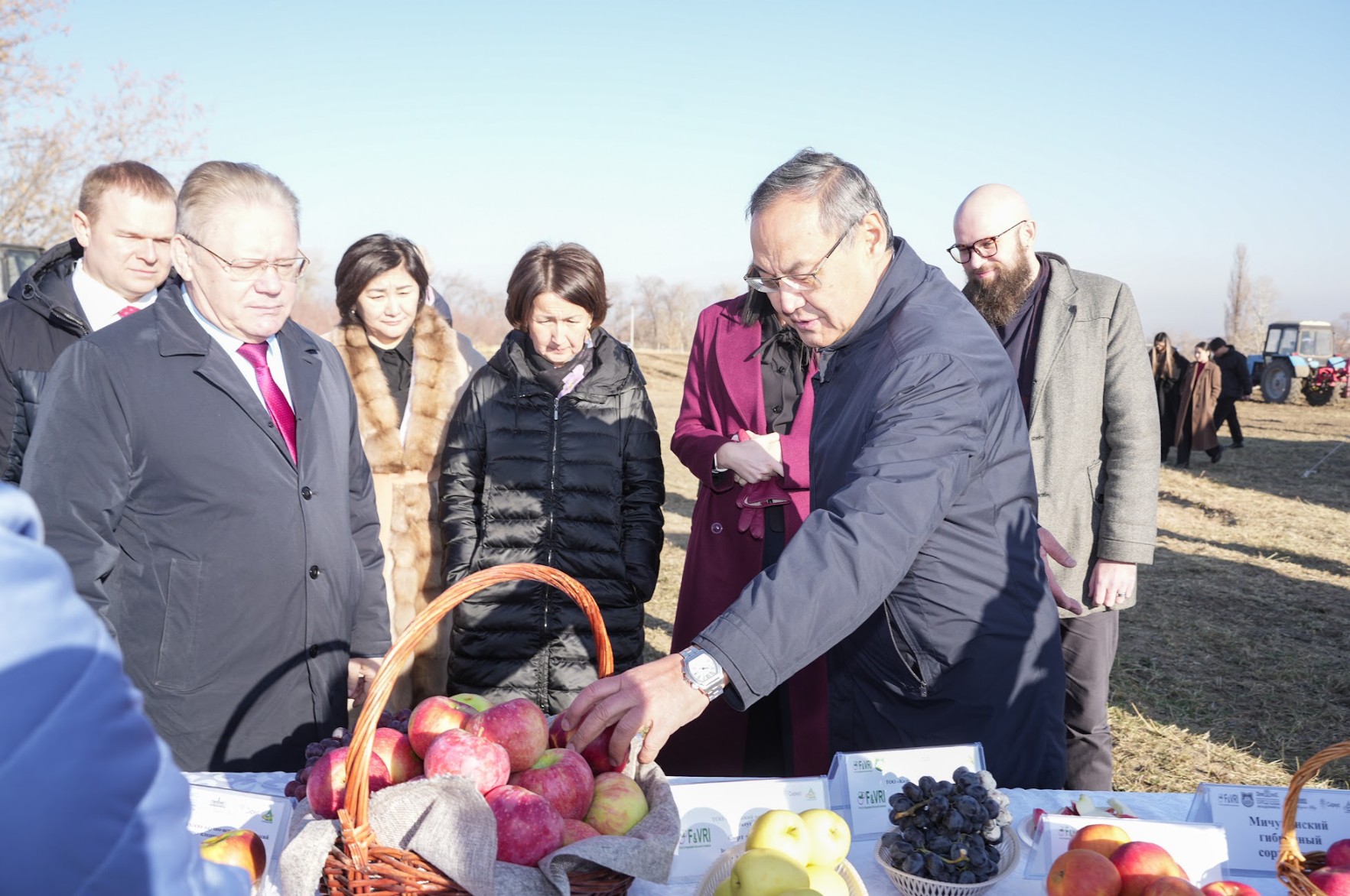 Тежеу мен демеу