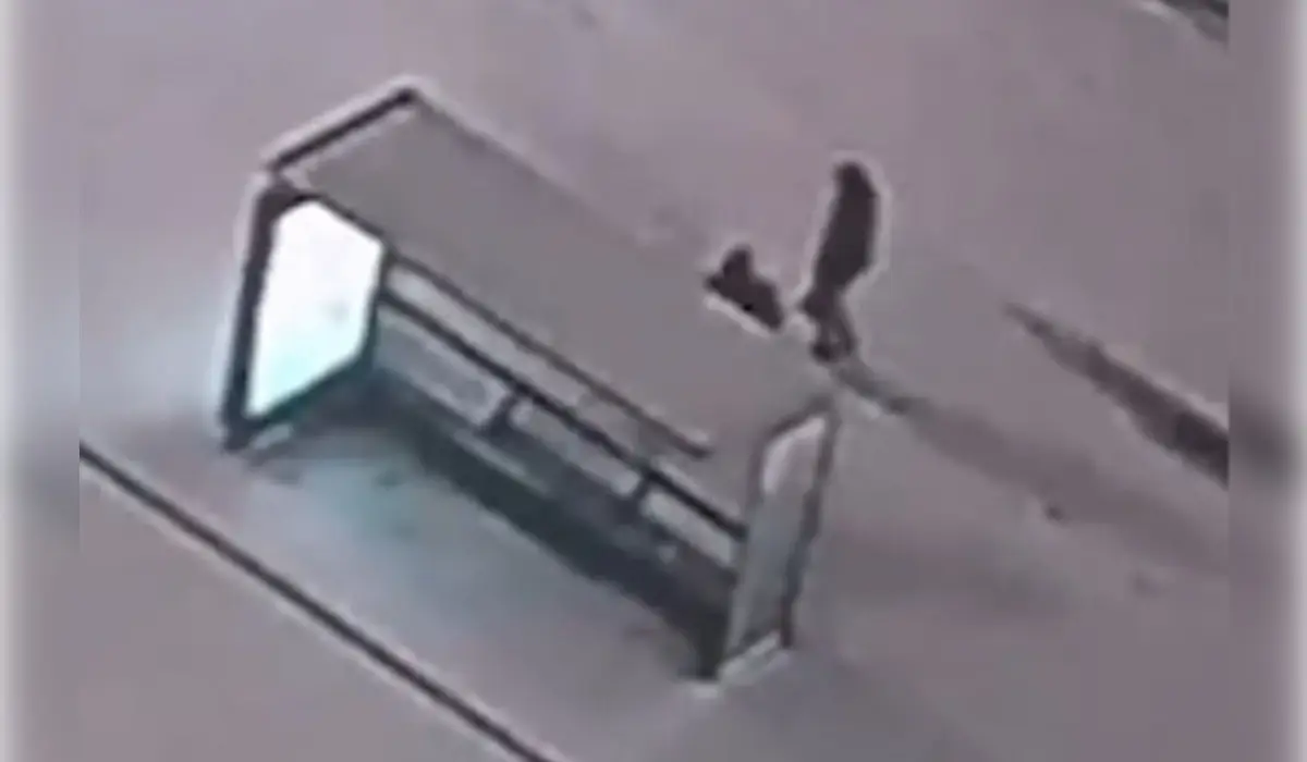 Астанада аялдаманы қиратқан ер адам қамауға алынды