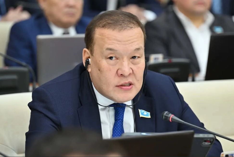 Ел экономикасы қалай өсіп жатыр: Депутат қарапайым сөзбен түсіндіріп берді