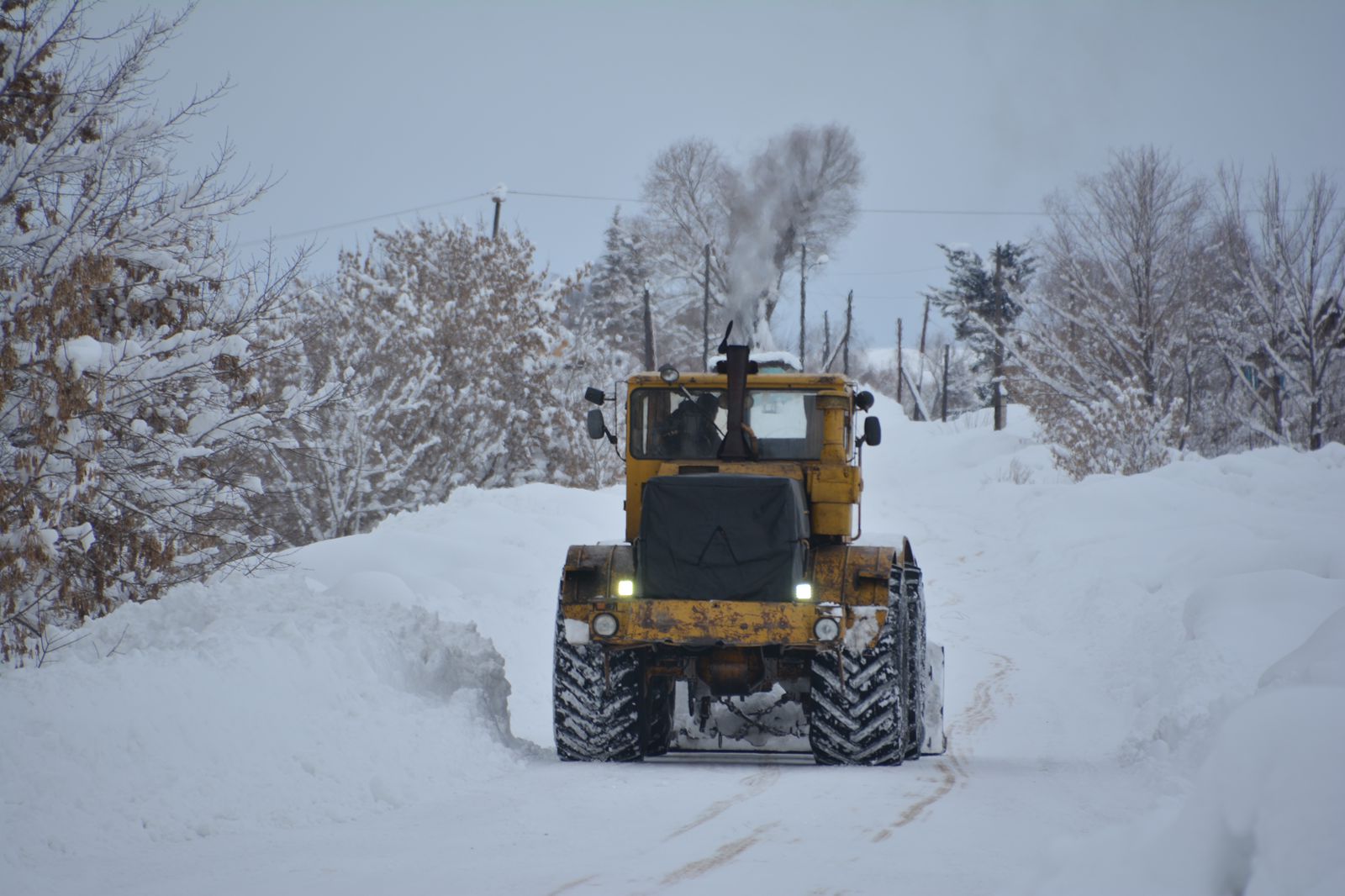 Шығыста қалың қар жауды: Жол тазалауға қанша техника жұмылдырылды?