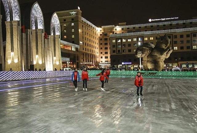 Қыстың сәні – сырғанақ