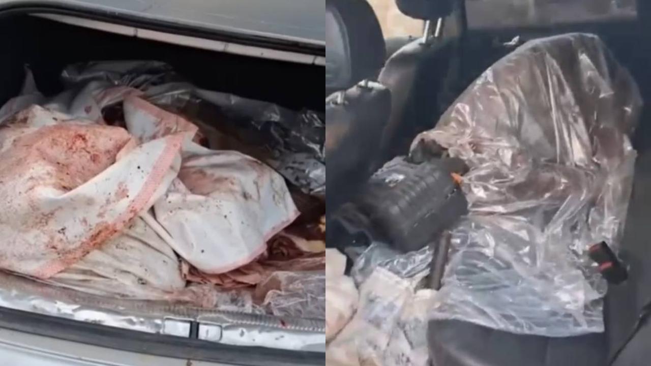 Жамбыл облысында екі адам жайылымдағы жылқыны атып алып кеткен