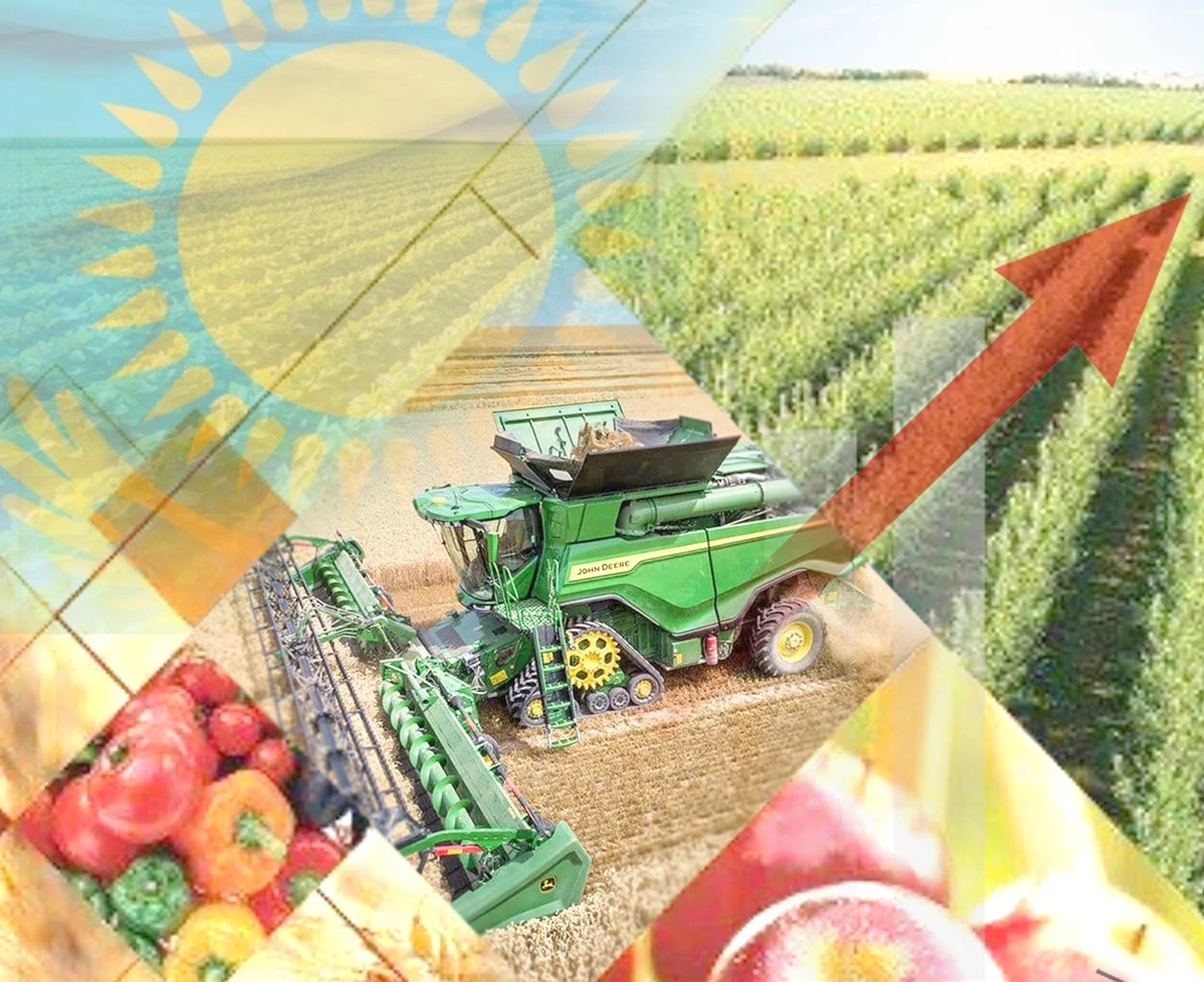 300 млрд теңге шығын: Ауыл шаруашылығында қандай былықтардың беті ашылды?