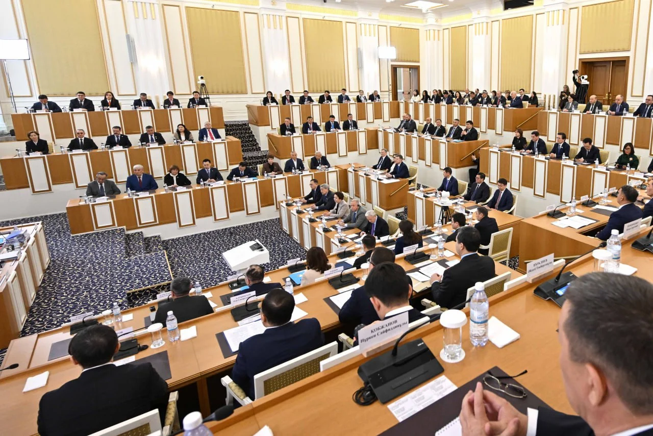 Халық кеңесі қандай мәселелермен айналысады?