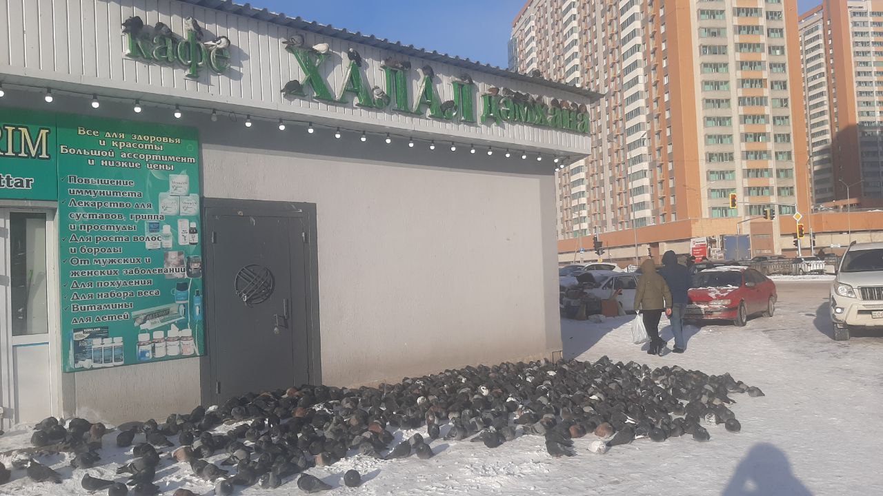 Қыраудай қатқан қара өлең