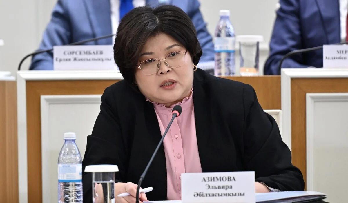 Эльвира Азимова: Конституция стратегиялық қағидаттарды бекітеді