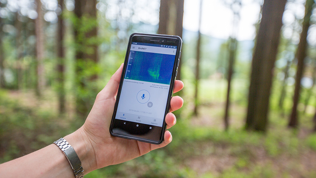 ЖИ жыл құстарын зерттеудің жаңа дәуірін ашты