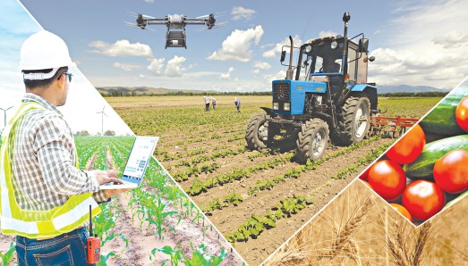 Агроөнеркәсіп кешенін өрістетудің маңызы